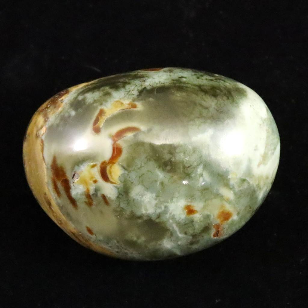 ムーアカイト | 榎本通商