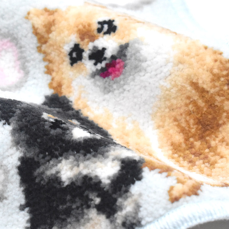 日本製 ポメラニアン ポメプー ポメチワ ブラックタン ブラタン