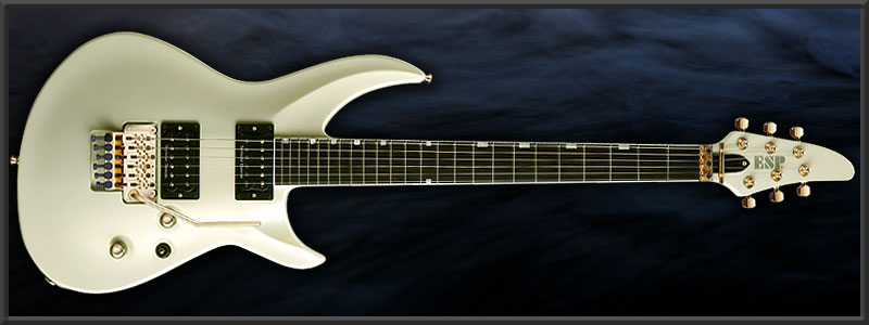ESP | ARTIST CUSTOM GUITARS | HIZAKI