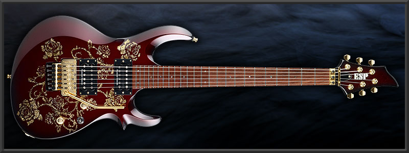 ESP | ARTIST CUSTOM GUITARS | HIZAKI