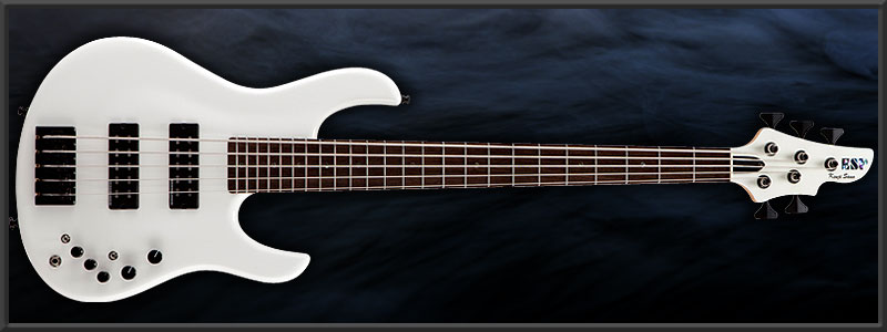 ESP | ARTIST CUSTOM GUITARS | 佐野健二