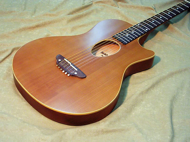 BambooInnCharプロデュース ニューコンセプトギター～すべての音楽人の