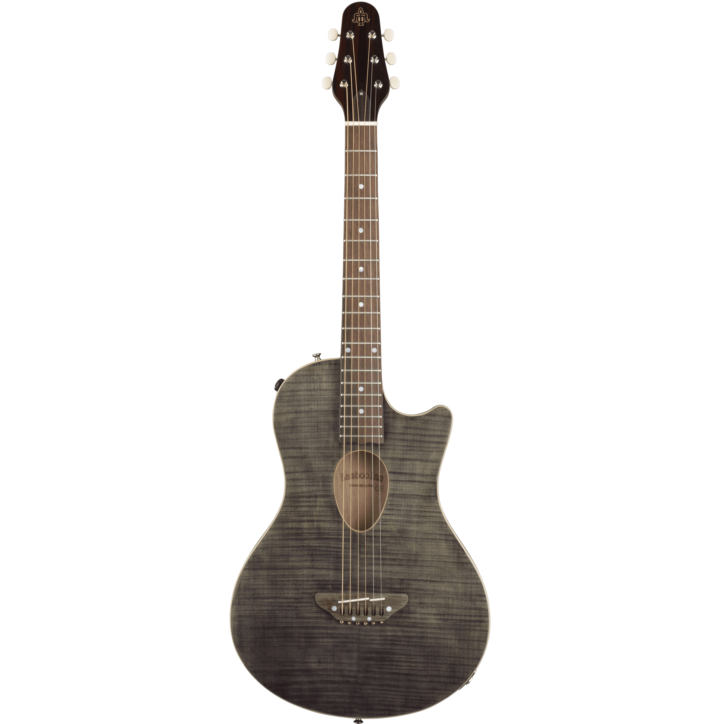 BambooInnCharプロデュース ニューコンセプトギター～すべての音楽人の