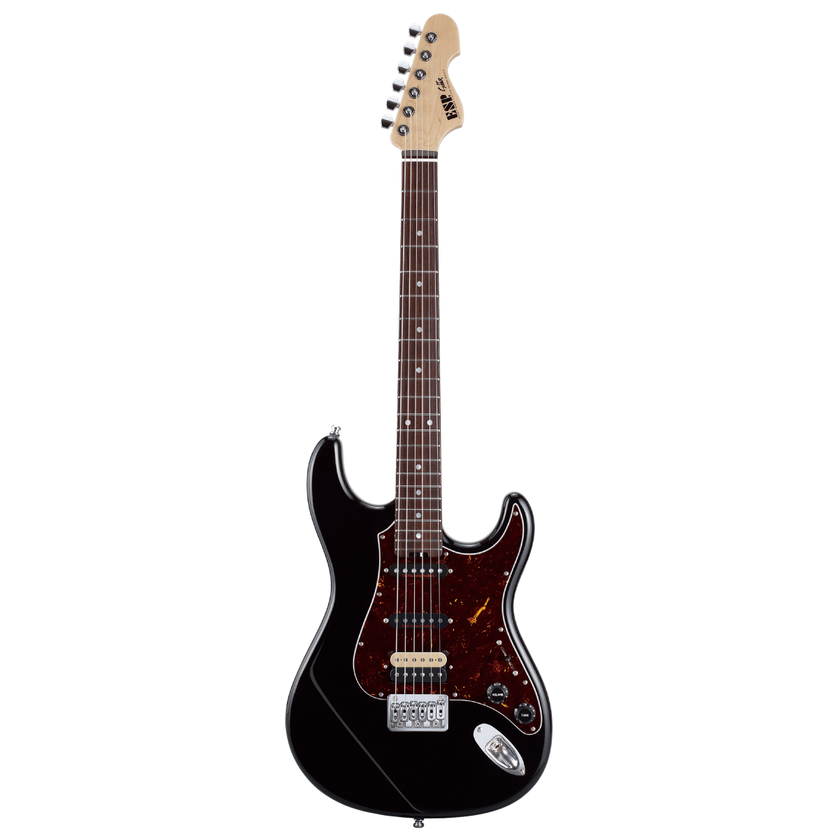 滝 善充 | ESP GUITARS