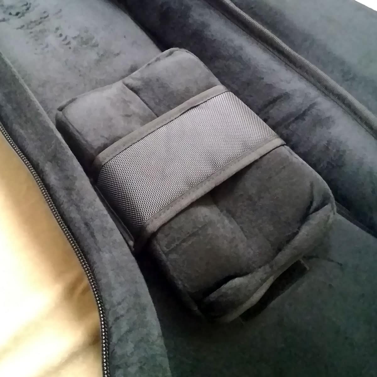 SPECIAL GUITAR GIG BAG | ESP GUITARS