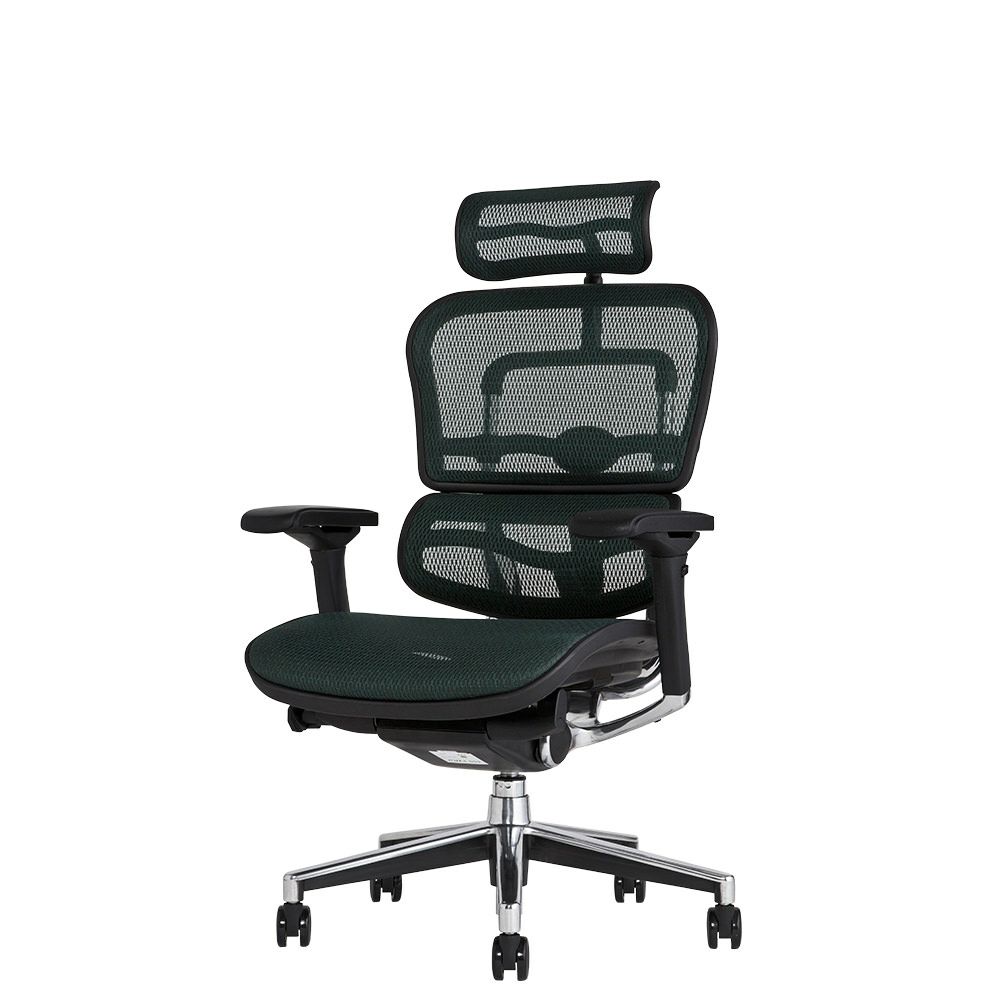 エルゴヒューマン ベーシック / ヘッドレスト有り【メーカー組み立て