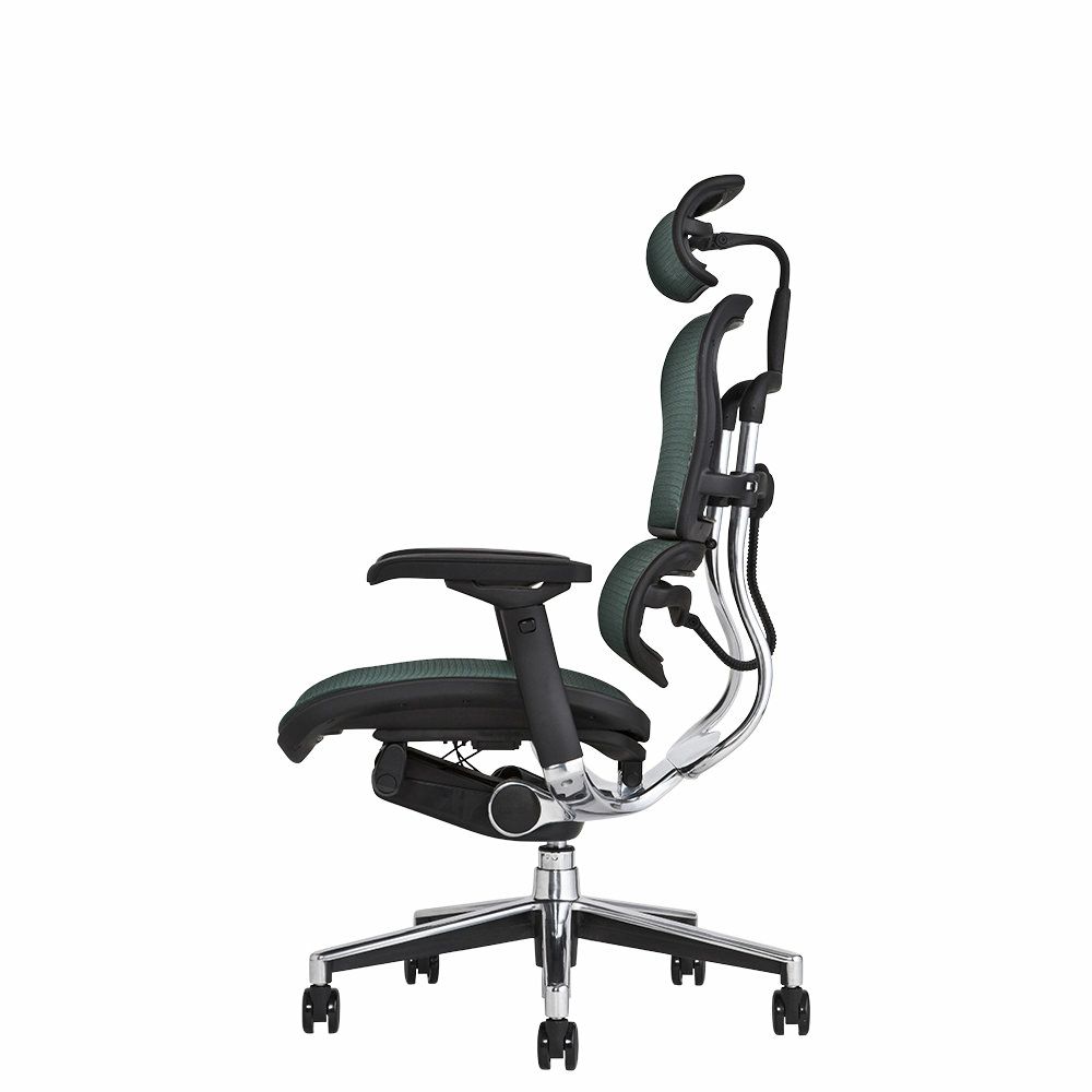 エルゴヒューマン ベーシック / ヘッドレスト有り【メーカー組み立て