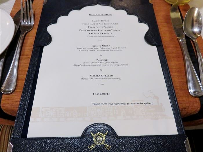 インド旅行記94】インド豪華列車デカンオデッセイに乗車♪ジャイナ教