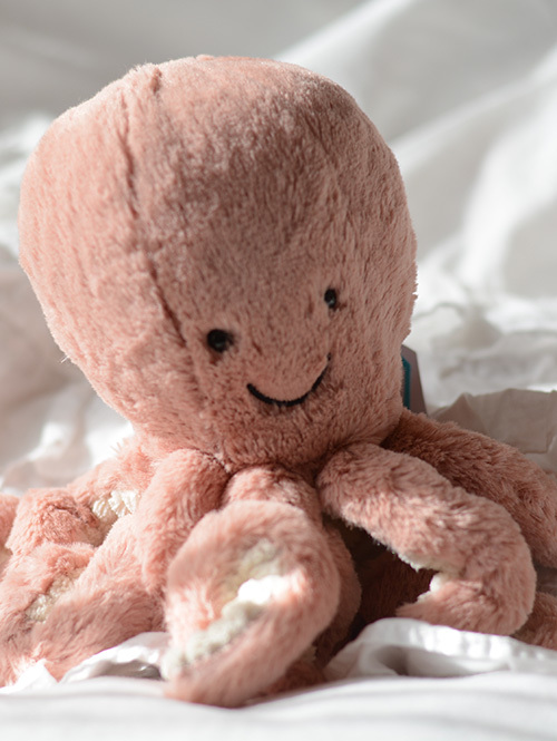 Badyサイズ / 14cm 】 Odyssey Octopus Baby (TINY) 手のひらサイズ