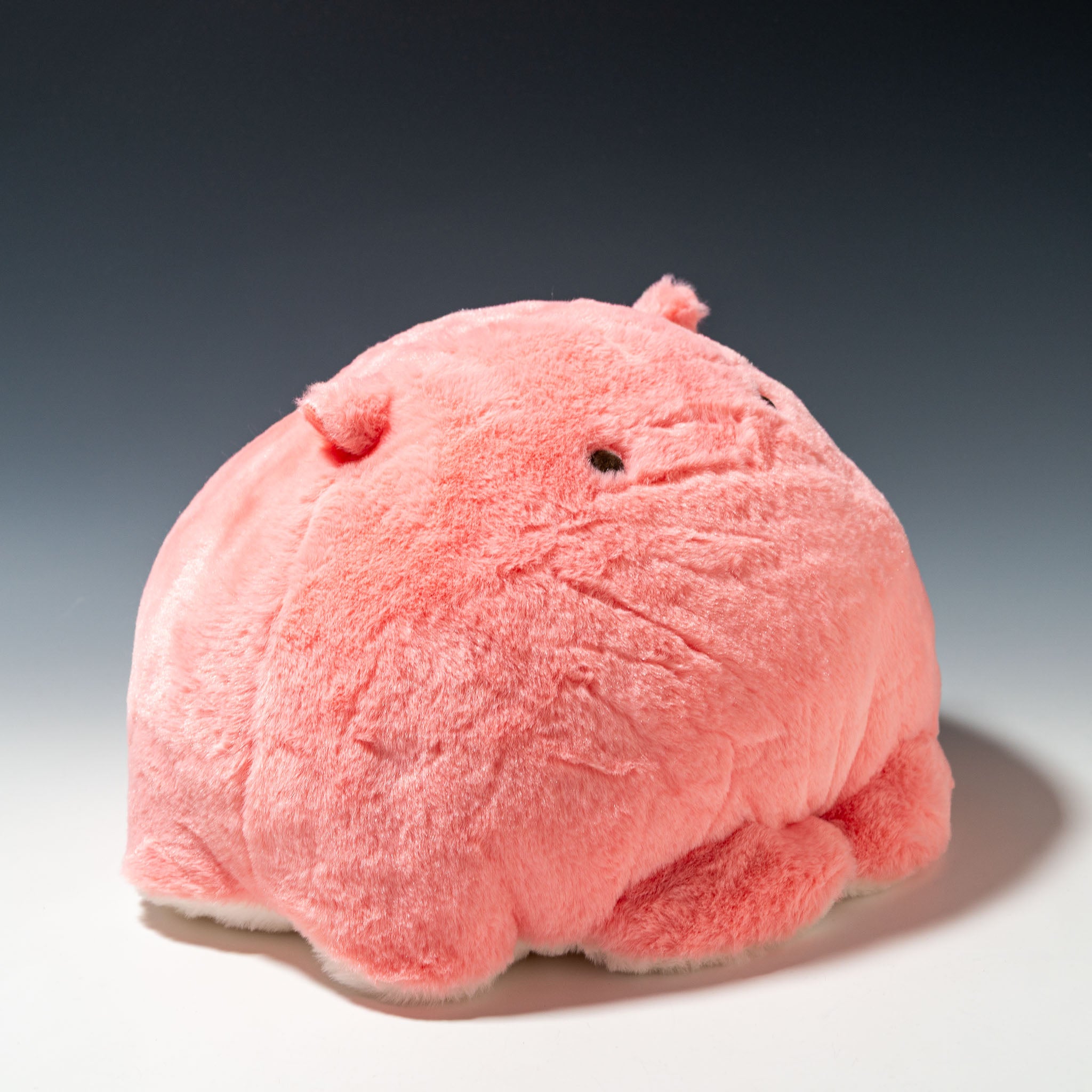 内藤デザイン研究所 ぬいぐるみ 海中散歩 もちだっこ クッション 全4種