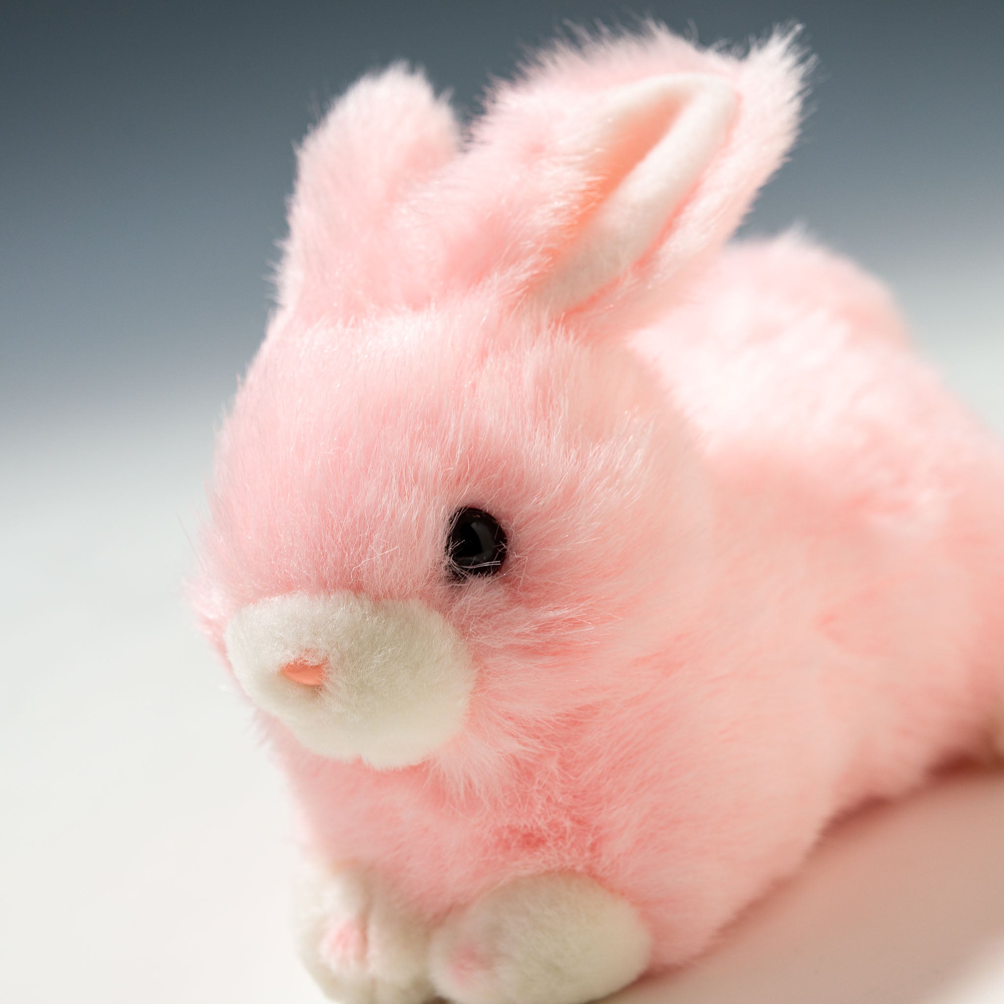 たけのこ TAKENOKO ぬいぐるみ プチどりーむ ミニ (A) ウサギ ピンク