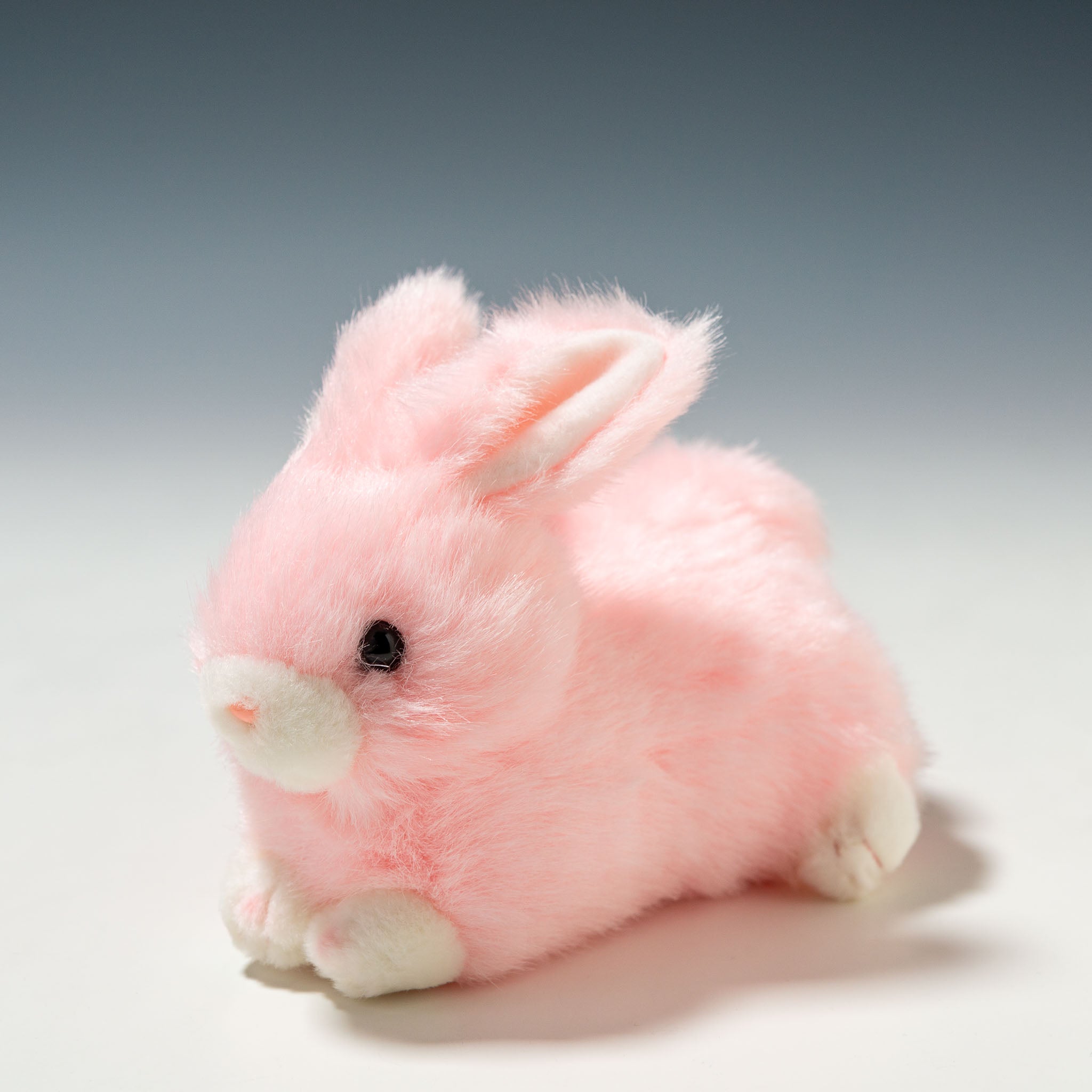 138050140-1.jpg?v=1760170496&