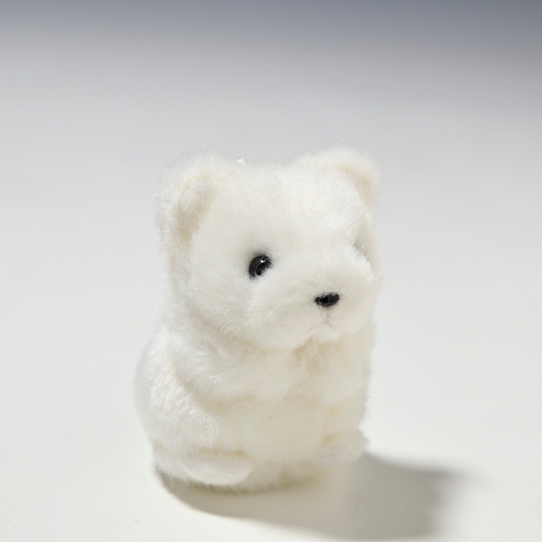 たけのこ TAKENOKO ぬいぐるみ ミニミニキッズ クマ 白 48544