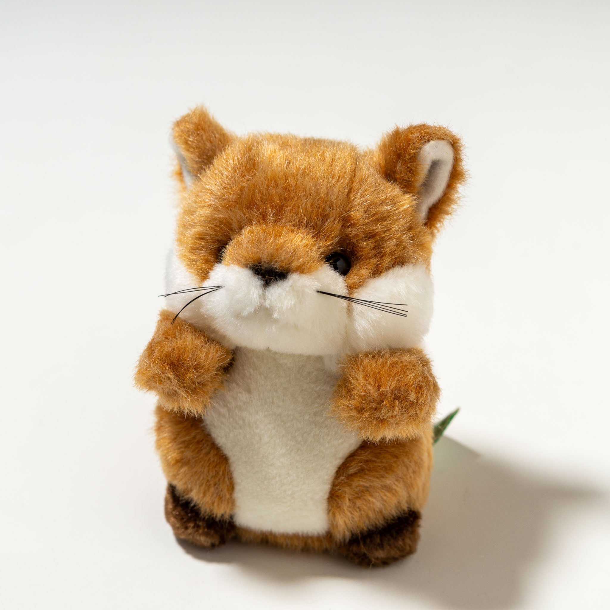 62609276-1.jpg?v=1760171778&