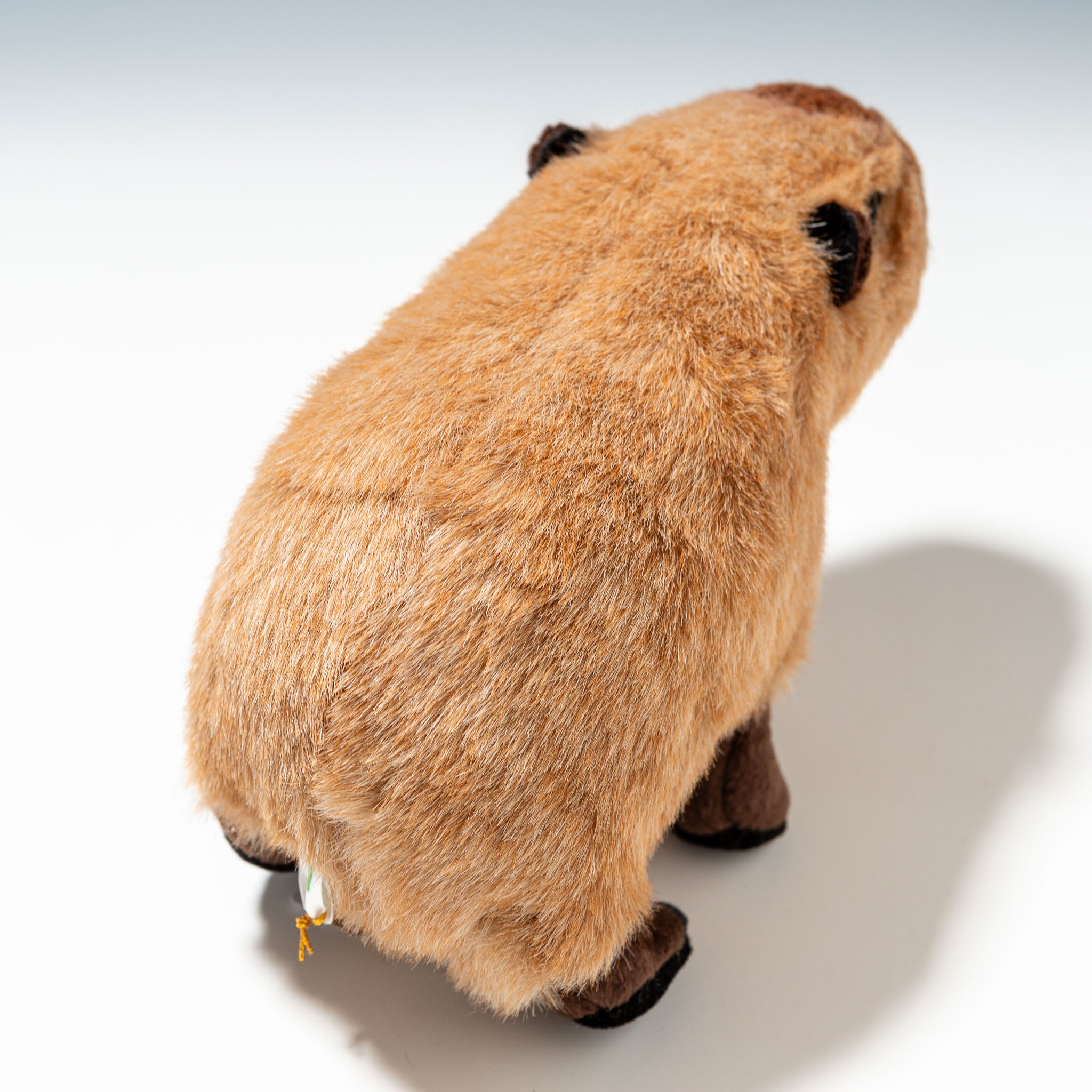 吉徳 ぬいぐるみ りくのなかまたち カピバラ S 180250 - エステルノ