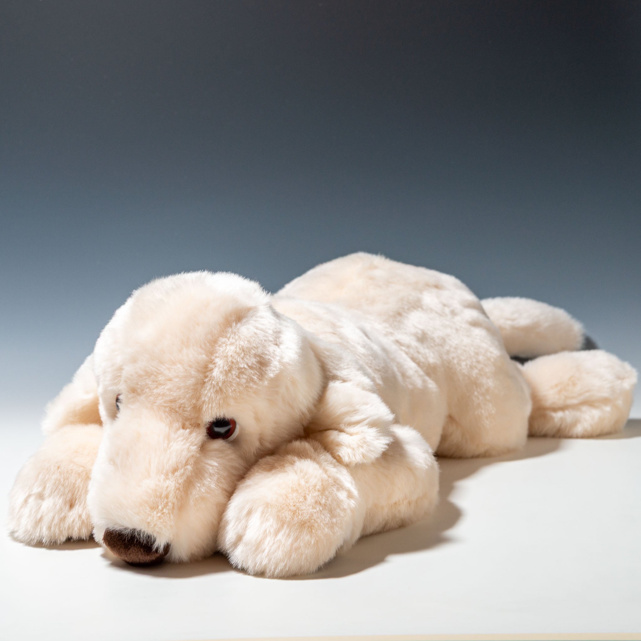 吉徳 ぬいぐるみ ラブラドールレトリバー ホワイト L 180413