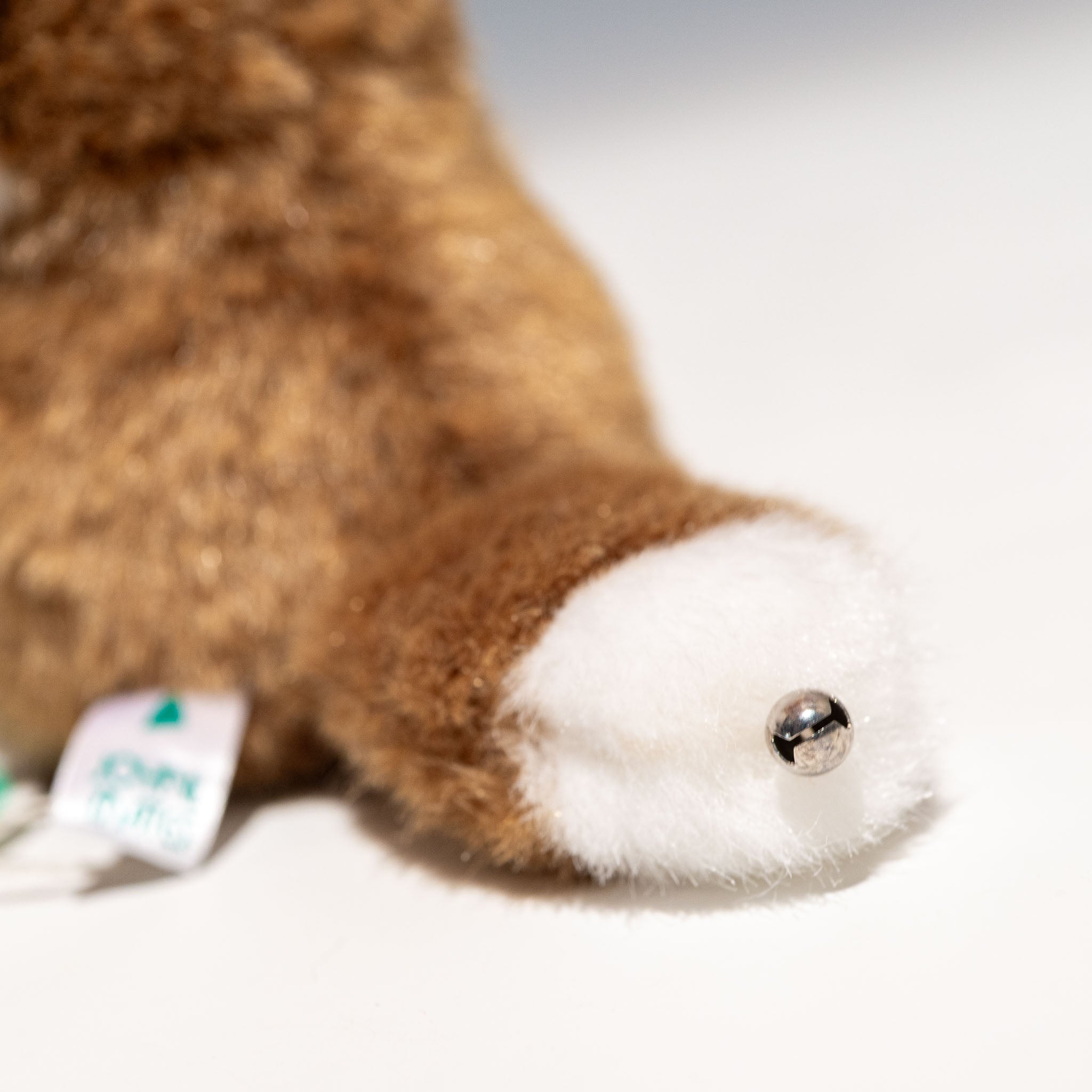 たけのこ TAKENOKO ぬいぐるみ プチプチらんど 森のなかま キツネ