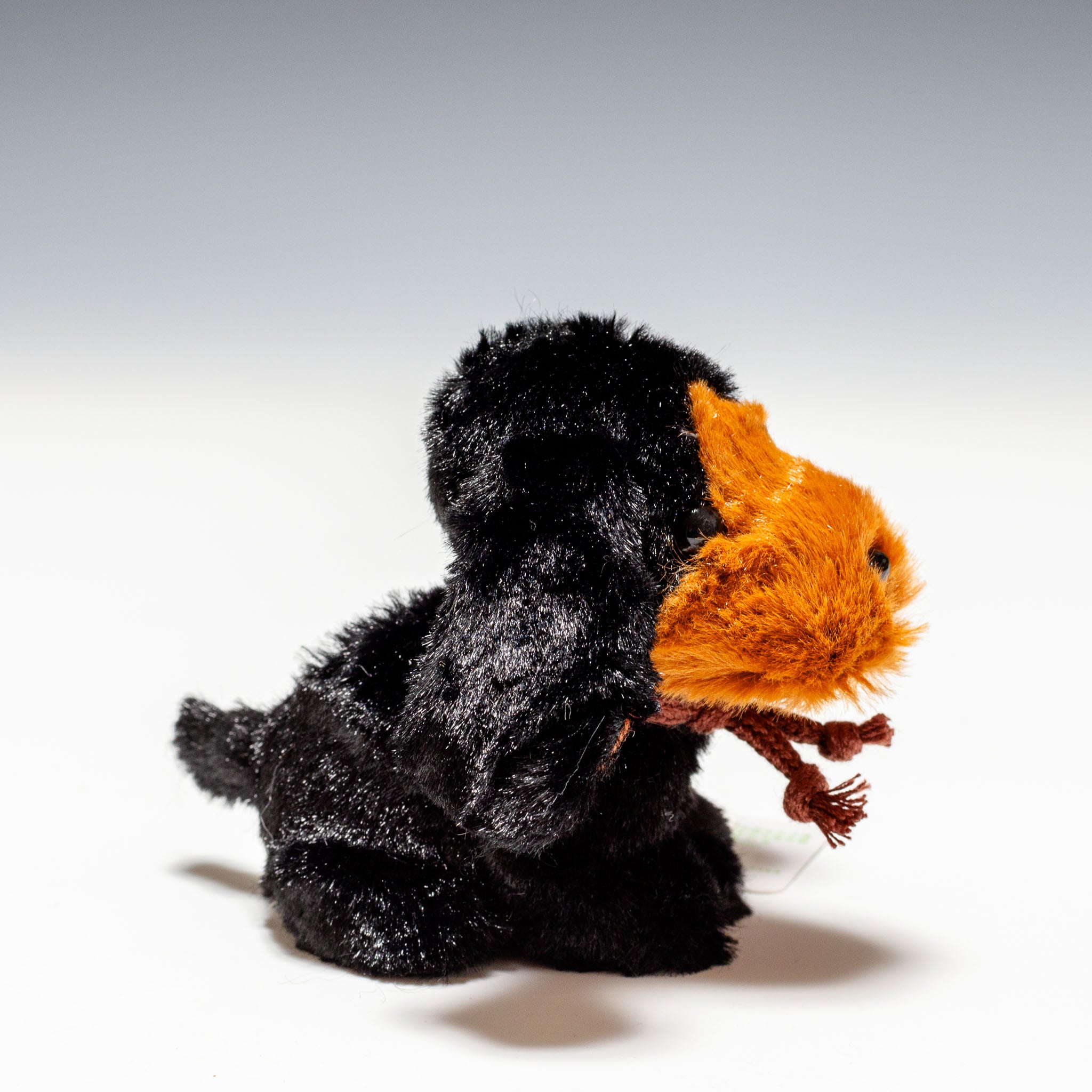 たけのこ TAKENOKO ぬいぐるみ キャンディフォンテーヌ ミニダックス