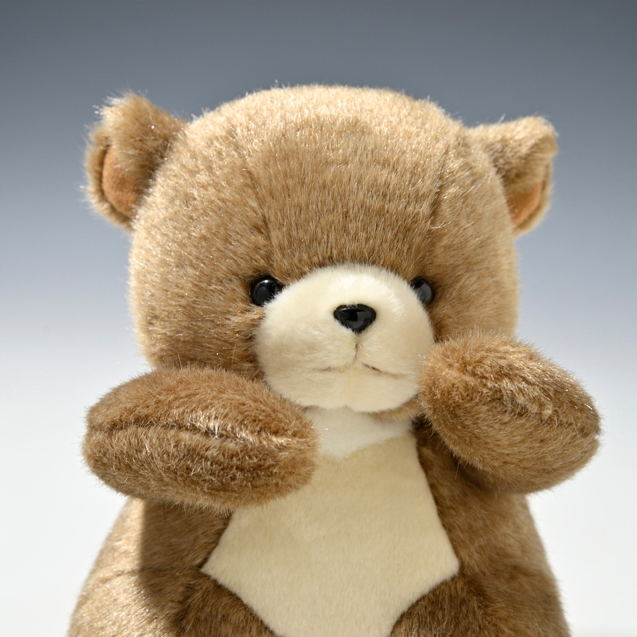 たけのこ TAKENOKO ぬいぐるみ 森のなかま (S) クマ 茶 18794