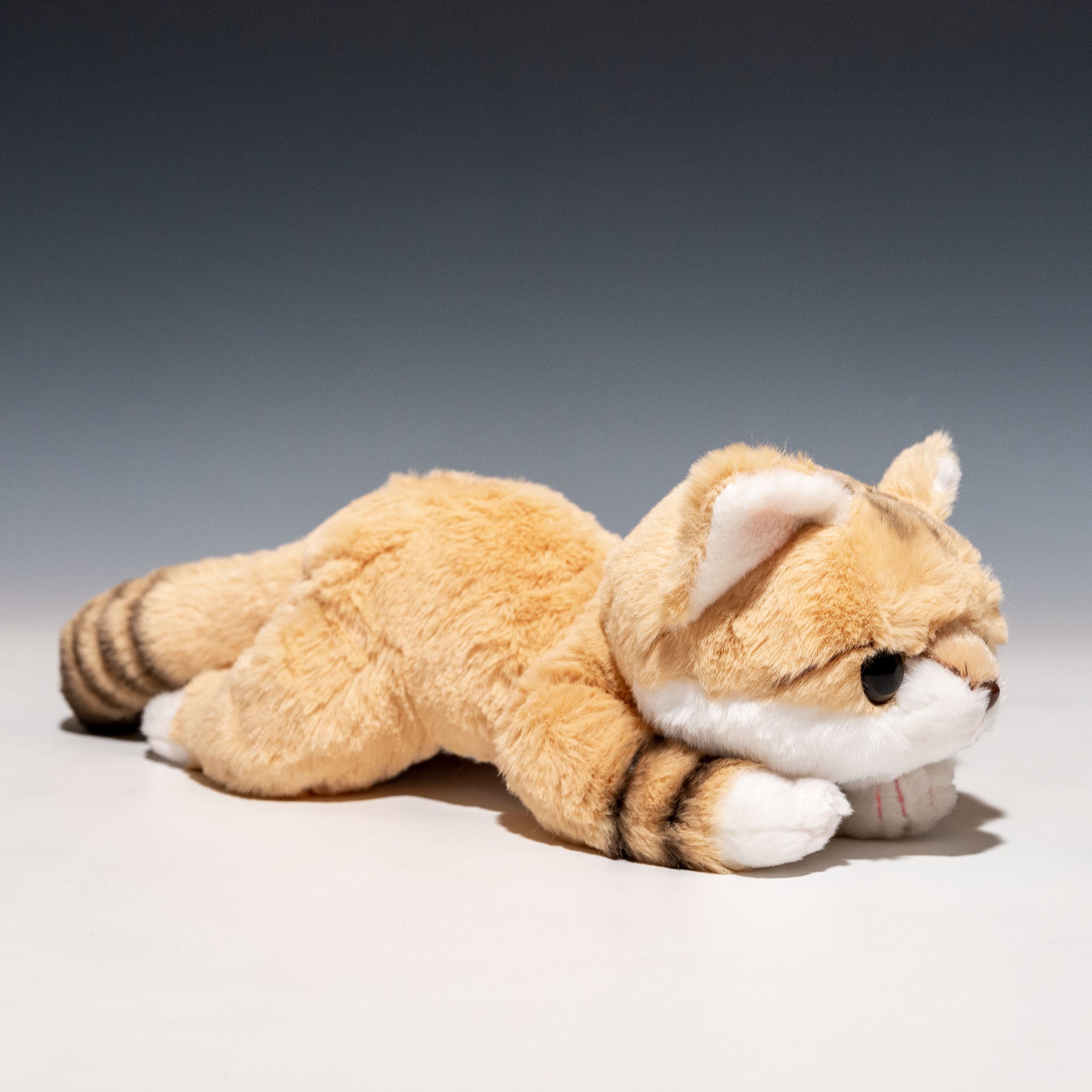 CUTE キュート販売 ぬいぐるみ くたくたスナネコ S Z0322・SS Z0324