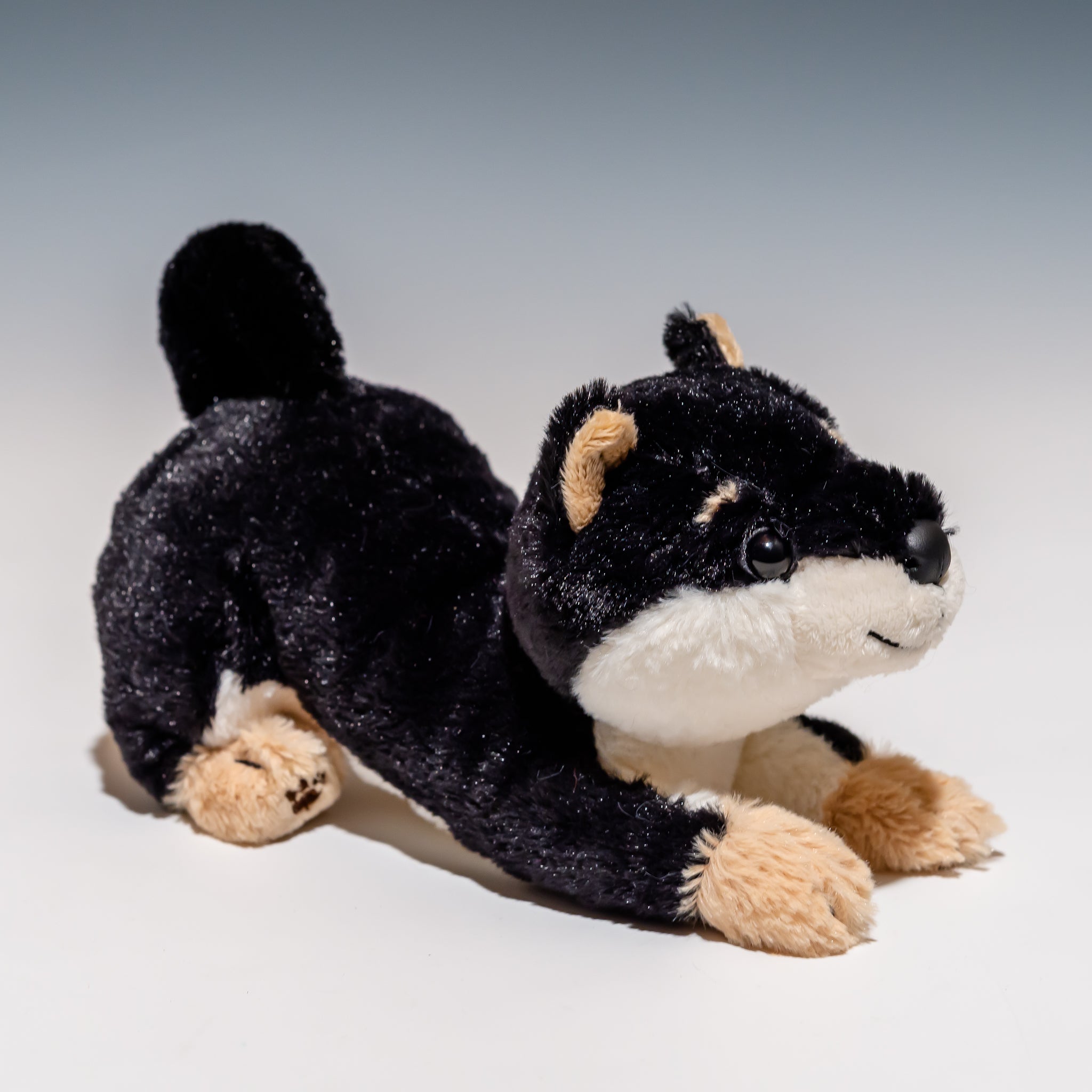 もにまるず しばいぬ 黒 もにまるず しばいぬ 黒 もにまるず しばいぬ 黒