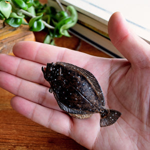 Favorite｜ヒラメ ミニモデル｜手のひらに広がる魚の世界