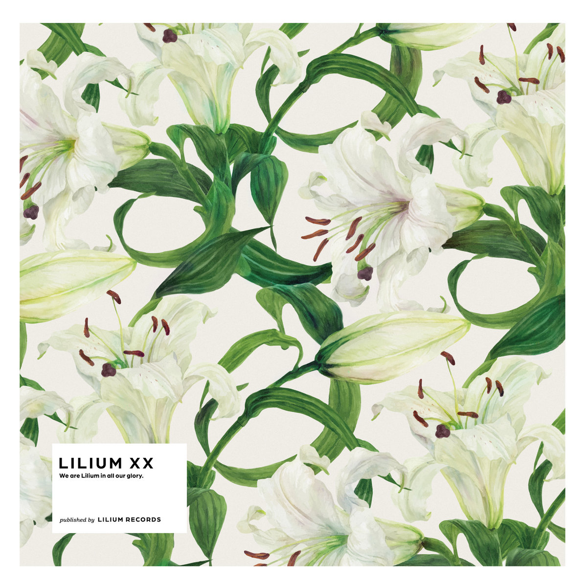 Lilium XX | Lilium Records