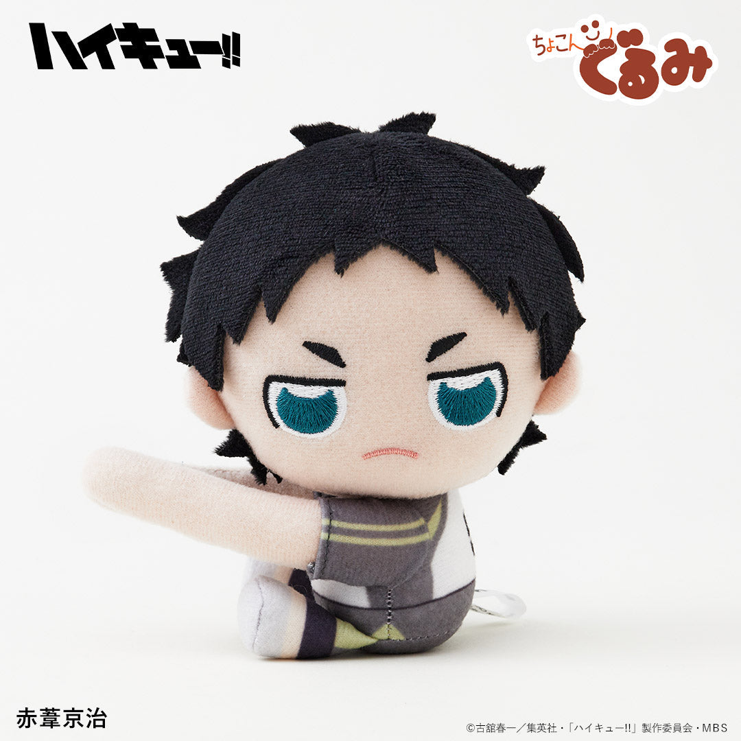 ちょこんぐるみ ギュっとホルダー 赤葦京治 – FAN+Life