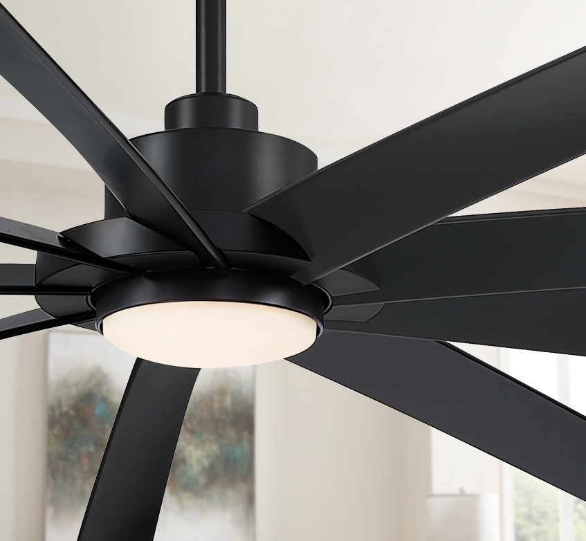 EightyFour – Fanimation