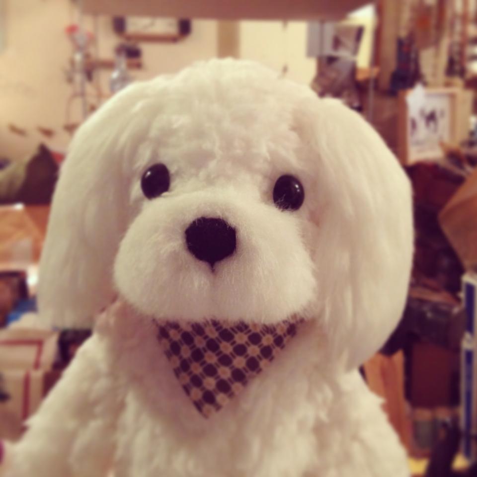 マルチーズぬい