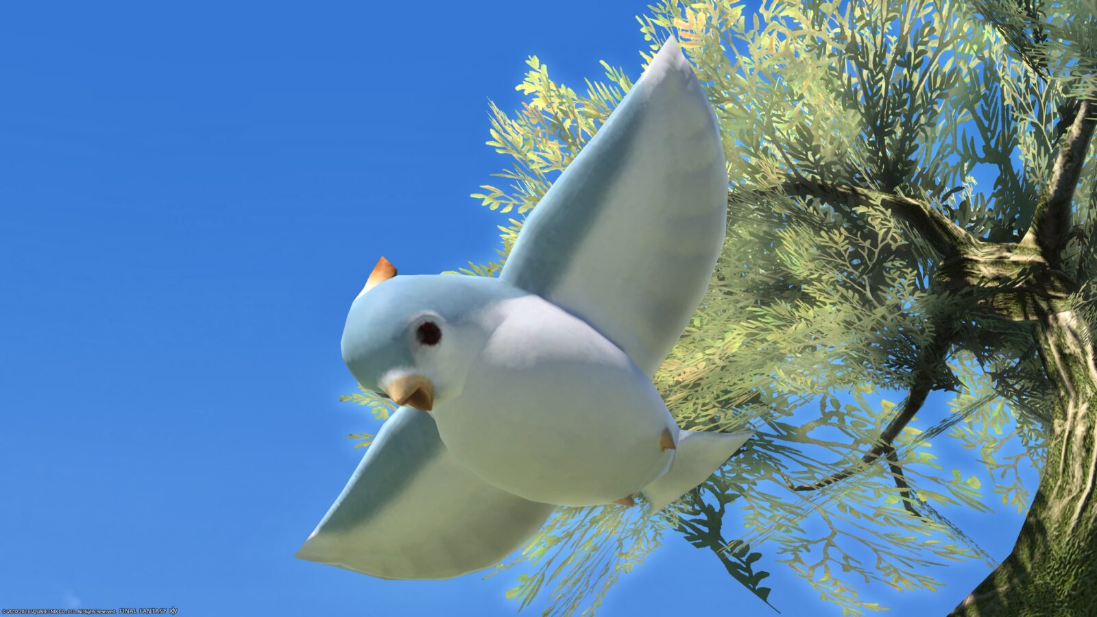 とっても可愛らしい幸せの青い鳥のミニオン『ブルーバード』 | Norirow