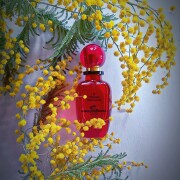 Anglomania Vivienne Westwood perfume - a fragrance for women 2005