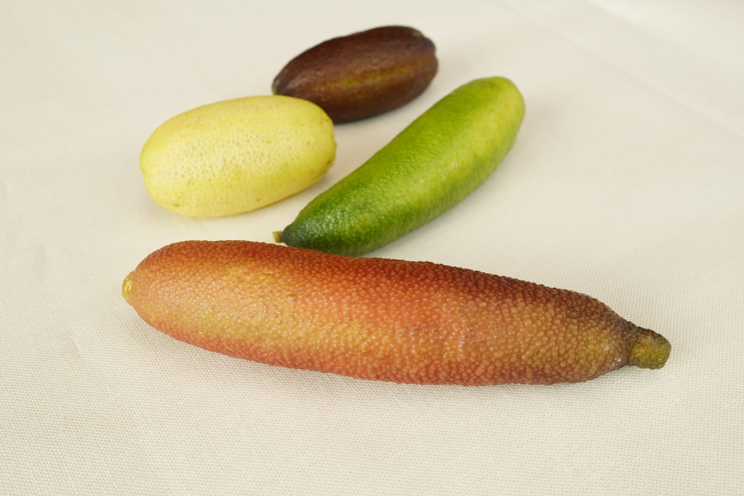 ジュエリーライム（フィンガーライム）50gセット – Finger Lime Tokyo