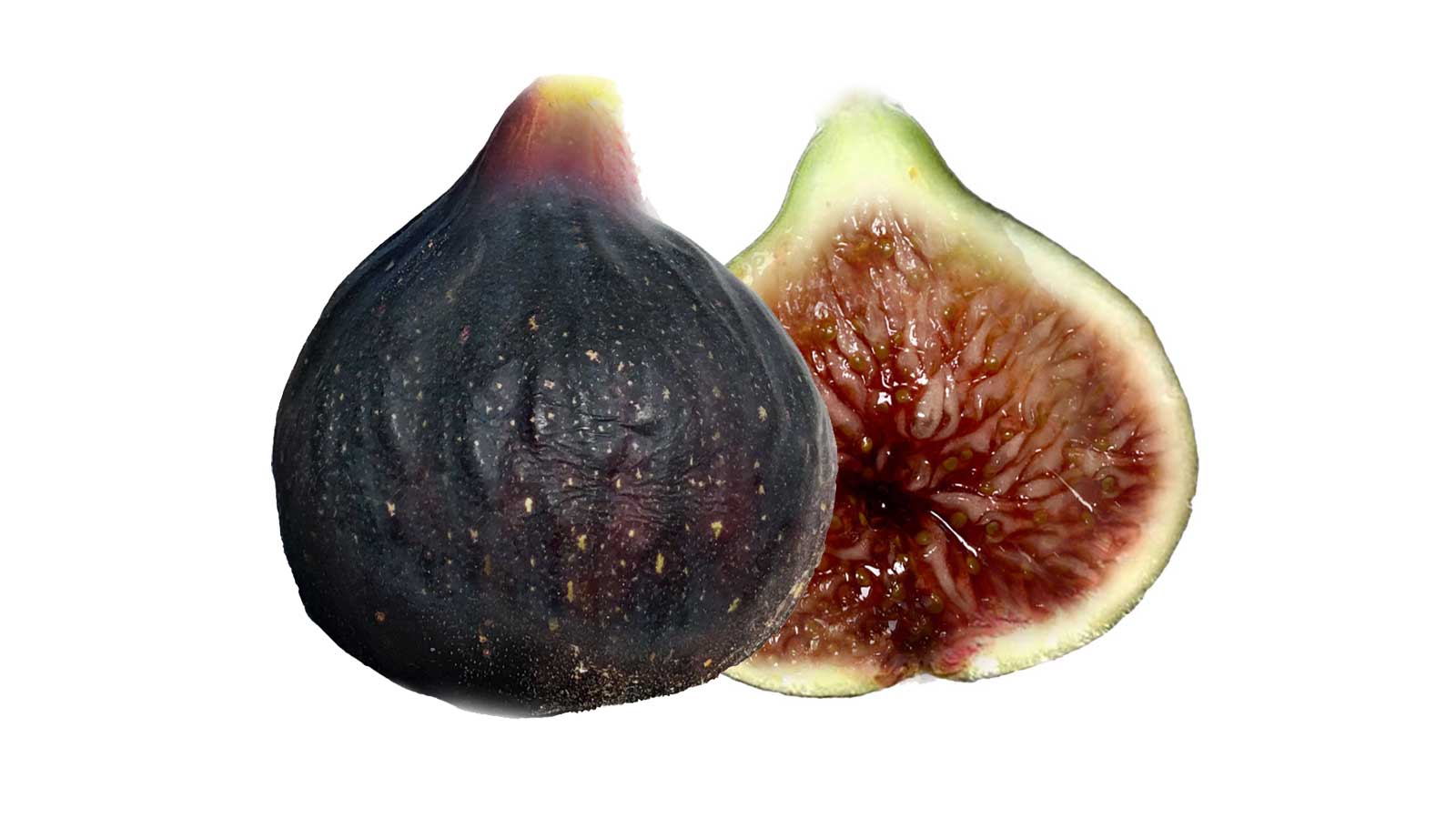 Madeira Island Black(MIB)の特徴・味・耐寒性・栽培 | 世界のイチジク