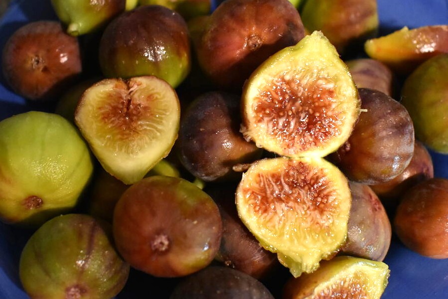 Watermelon Rushの特徴・味・耐寒性・栽培 | 世界のイチジク