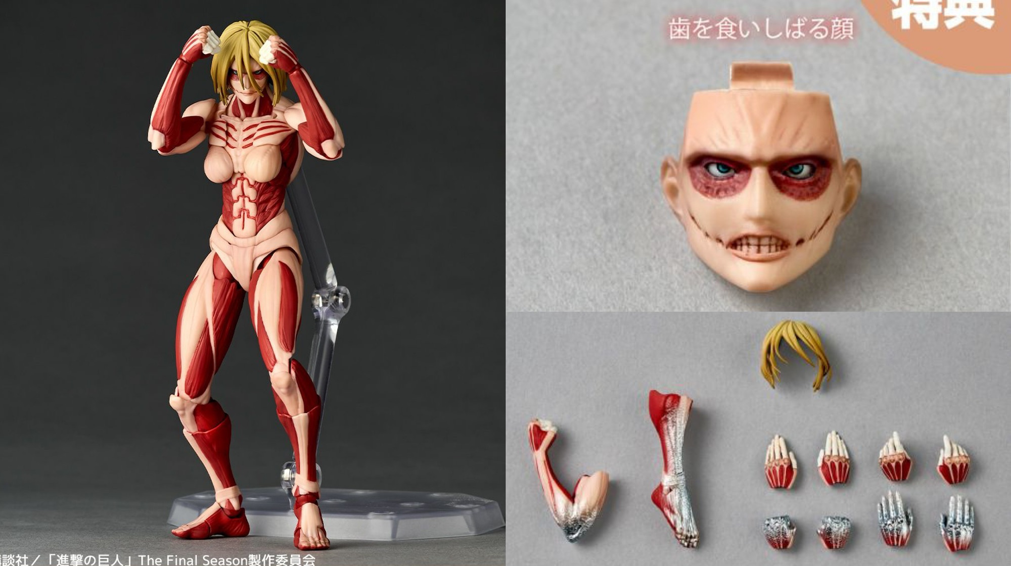 新作！「リボルテック アメイジング・ヤマグチ 女型の巨人」が一般販売