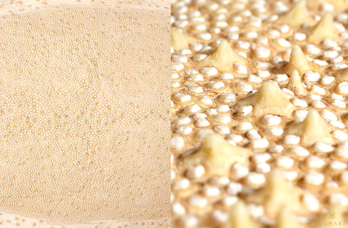 梅花皮(カイラギ) - 積年の研究で商品化した梅花皮 - BAHARI -