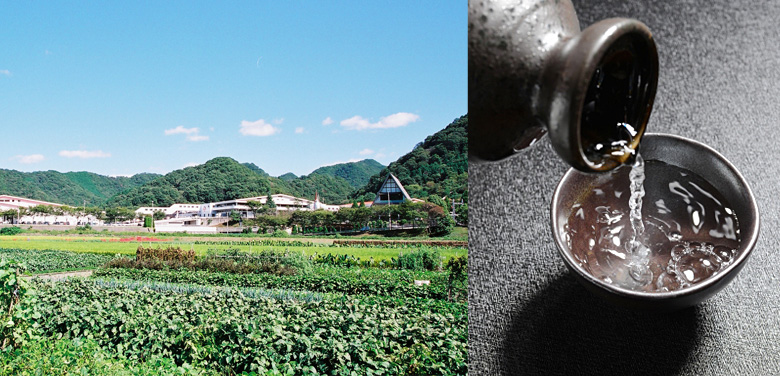 はもちく 10本 ささ揚げはもてん10枚入り【冷蔵】 - ヤマサ蒲鉾