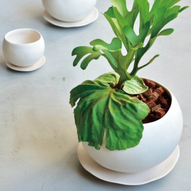 植木鉢 おしゃれ 陶器鉢 マリナS (B/W)＜ 8.5cm 3号 底穴あり 受け皿付