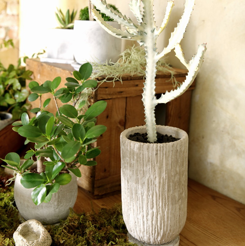 鉢 おしゃれ コンクリート オベリスクトールM＜ 12cm 4号 底穴あり