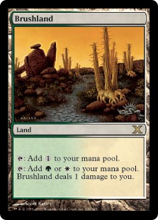 買取：《低木林地/Brushland》[10ED] 土地R | 日本最大級 MTG通販