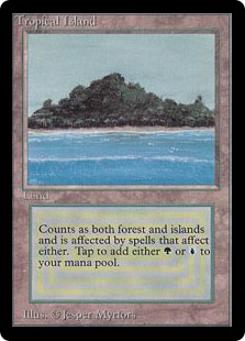 Tropical Island》[LEB] 土地R | 日本最大級 MTG通販サイト「晴れる屋」
