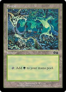 347)《森/Forest》[USG] 土地 | 日本最大級 MTG通販サイト「晴れる屋」