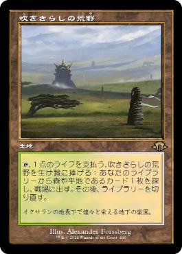 吹きさらしの荒野/Windswept Heath》[KTK] 土地R | 日本最大級 MTG通販