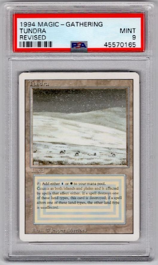 Tundra》[3ED] 土地R | 日本最大級 MTG通販サイト「晴れる屋」