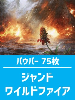 パウパー構築済デッキの商品検索 | 日本最大級 MTG通販サイト「晴れる屋」