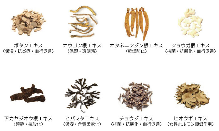 DOC SKINCARE-ドックスキンケア-】ザックパック | 業務用美容・エステ