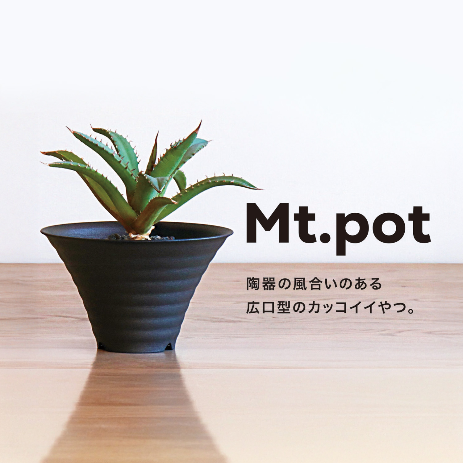 まるで陶器の高級感！アガベ・塊根植物専用鉢 Mt.pot | 根腐れ防ぐ1穴