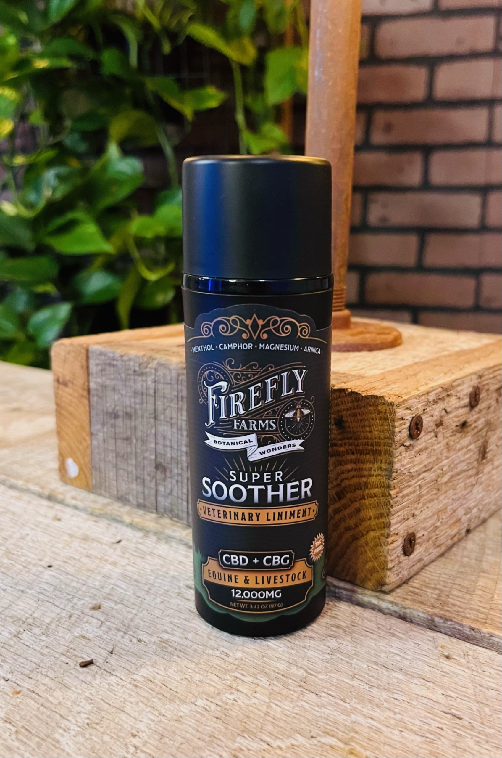 Elderberry CBD Immunity Gummies – Firefly Farms Botanical Wonders