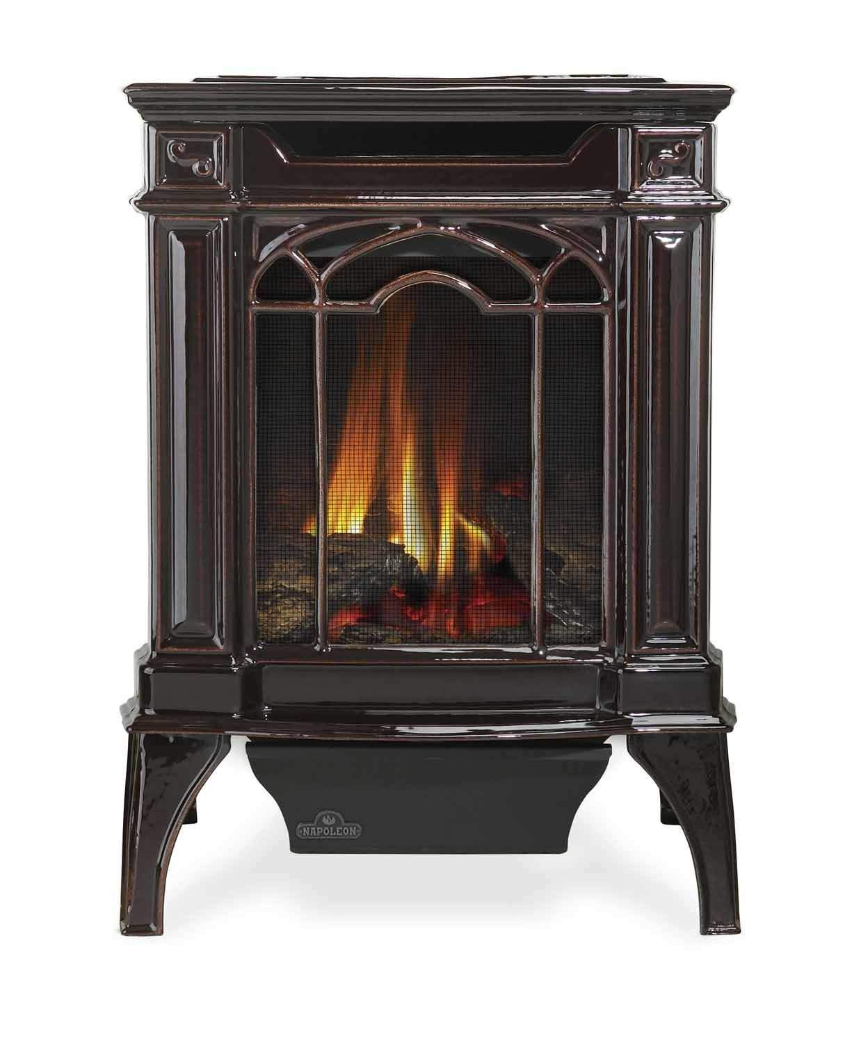 Napoleon Arlington Direct Vent Cast Iron Gas Stove – Fireplaces Direct